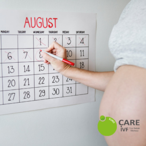 euroCARE IVF Pregnancy Calendar Sample for August