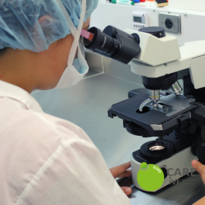 microscope used for icsi in cyprus procedure 